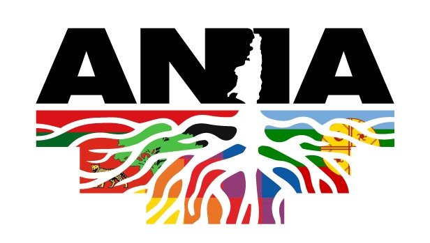 Originarios.ar – La realidad de los Pueblos Indígenas de Argentina.