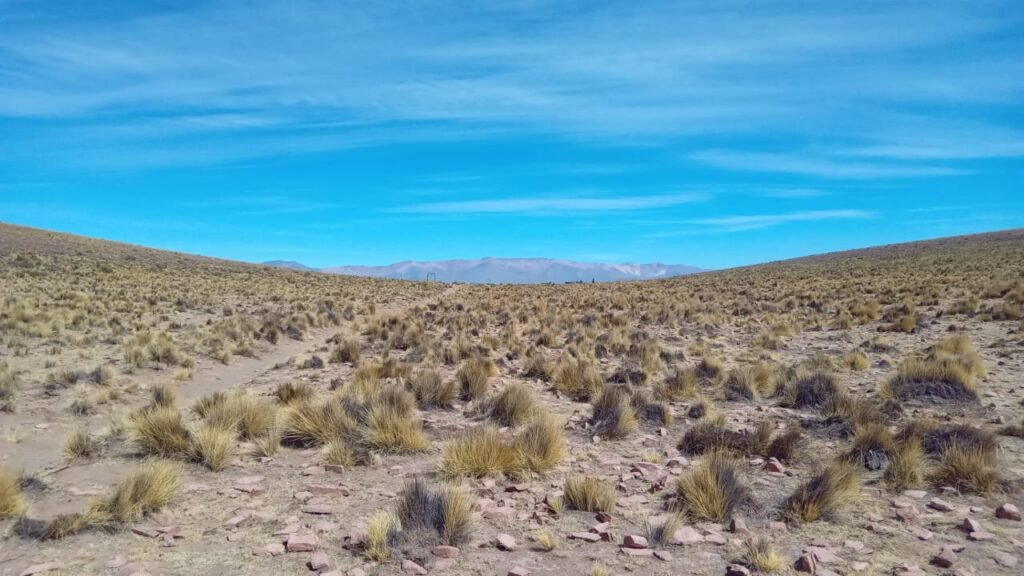 Cerro Sagrado Xixilera, Departamento de Tilcara