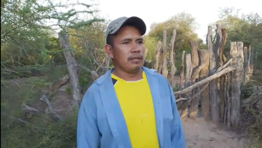 Comunidad wichí de Salta defiende su territorio ante la tala indiscriminada de Palo Santo