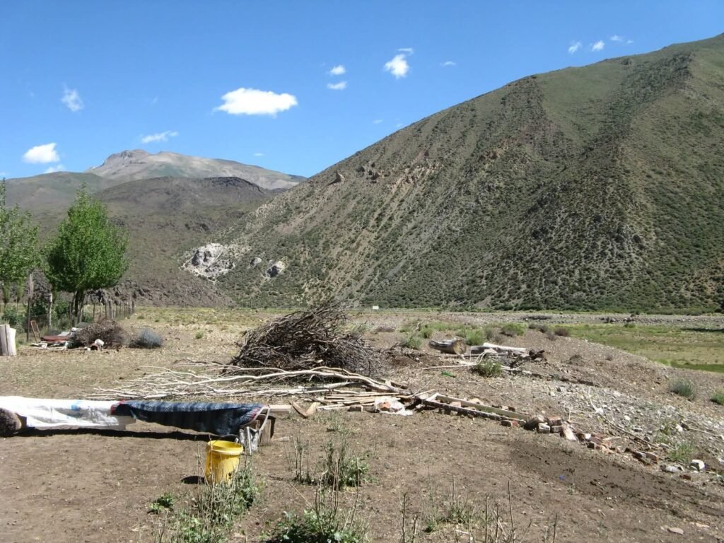 Estos últimos años se incrementaron los desalojos del pueblo mapuche en Mendoza